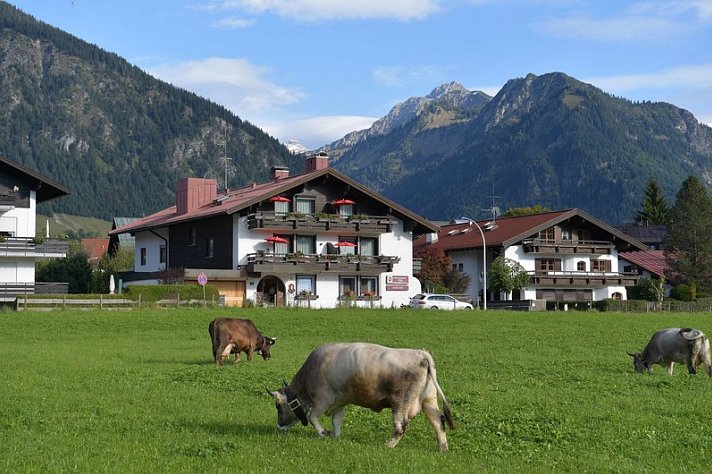 Alpenhof Oberstdorf Hotel & SPA