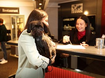 Best Western Hotel Windorf
