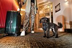 Best Western Hotel Windorf