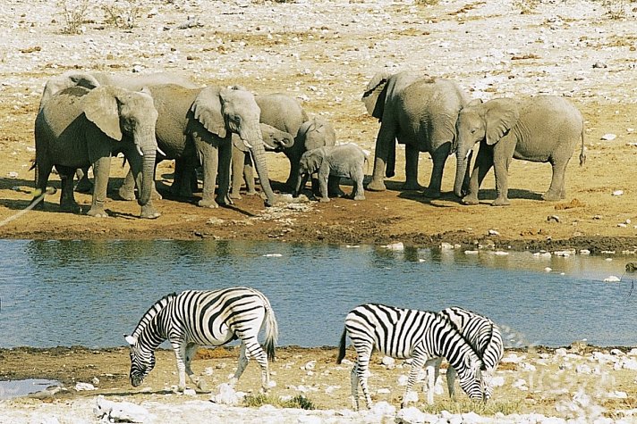 Namibia Kaleidoskop Superior