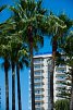 Hotel Monarque Torreblanca