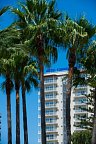 Hotel Monarque Torreblanca