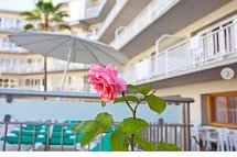 Apartamentos Ecuador Park