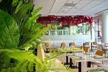 AR Diamante Beach Spa