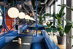 The Social Hub Vienna