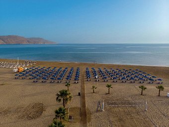 Delfina Tropic Beach