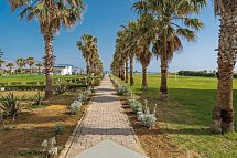 Delfina Tropic Beach