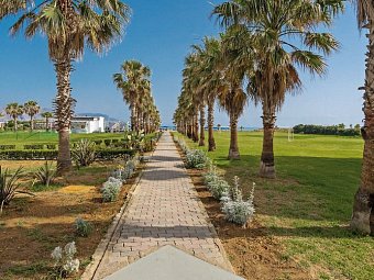 Delfina Tropic Beach
