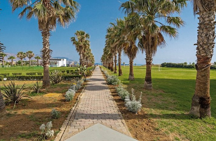 Delfina Tropic Beach