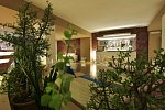 Hotel Baia Azzurra