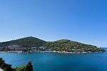 Vis
