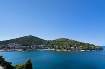 Vis