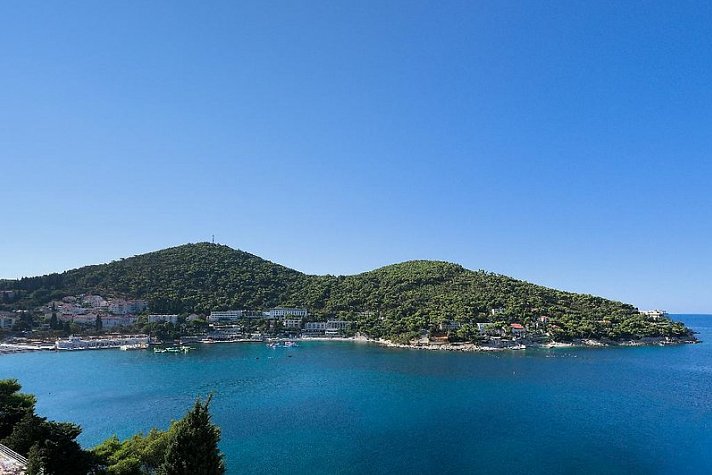 Vis
