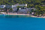Vis