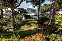 Pinhal da Marina