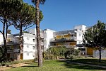 Pinhal da Marina