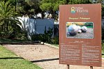 Pinhal da Marina