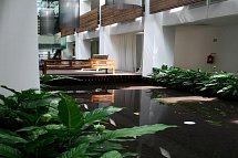Belmar Spa & Beach Resort