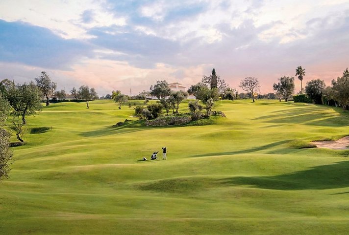 Pestana Palm Gardens