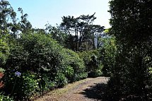 Quinta Da Cova Do Milho
