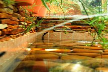htop Palm Beach & SPA