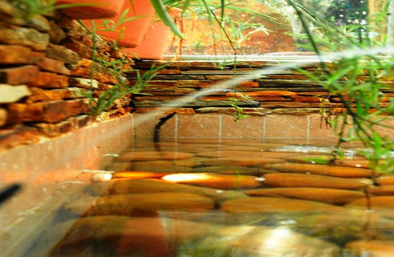 htop Palm Beach & SPA