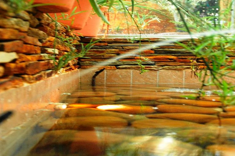 htop Palm Beach & SPA