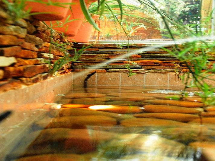 htop Palm Beach & SPA
