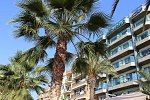 Hotel Miramar