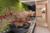 Hotel Alhambra