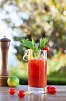 Almadraba Park Hotel