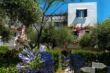 Villea Village