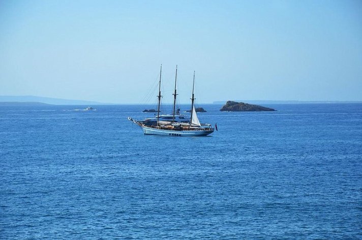 Vibra Panoramic