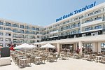 Best Oasis Tropical