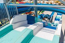Best Oasis Tropical