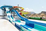 Best Oasis Tropical