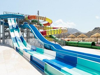 Best Oasis Tropical