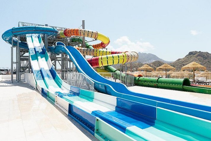 Best Oasis Tropical