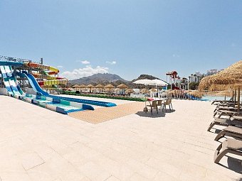 Best Oasis Tropical
