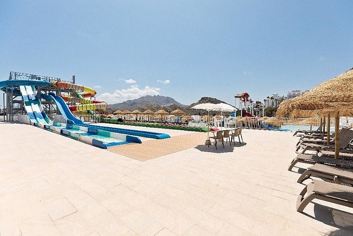 Best Oasis Tropical