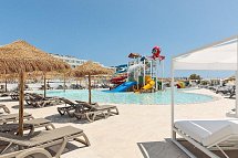 Best Oasis Tropical