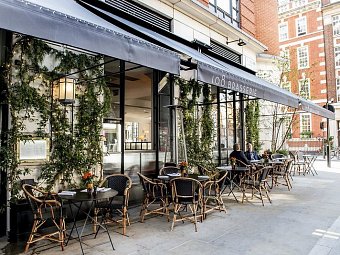 The Marylebone Hotel