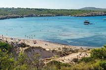 Posidonia