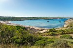 Posidonia