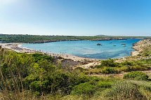 Posidonia
