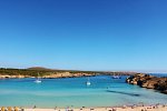 Posidonia