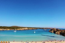 Posidonia