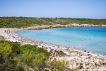 Posidonia