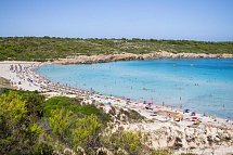 Posidonia