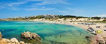 Posidonia
